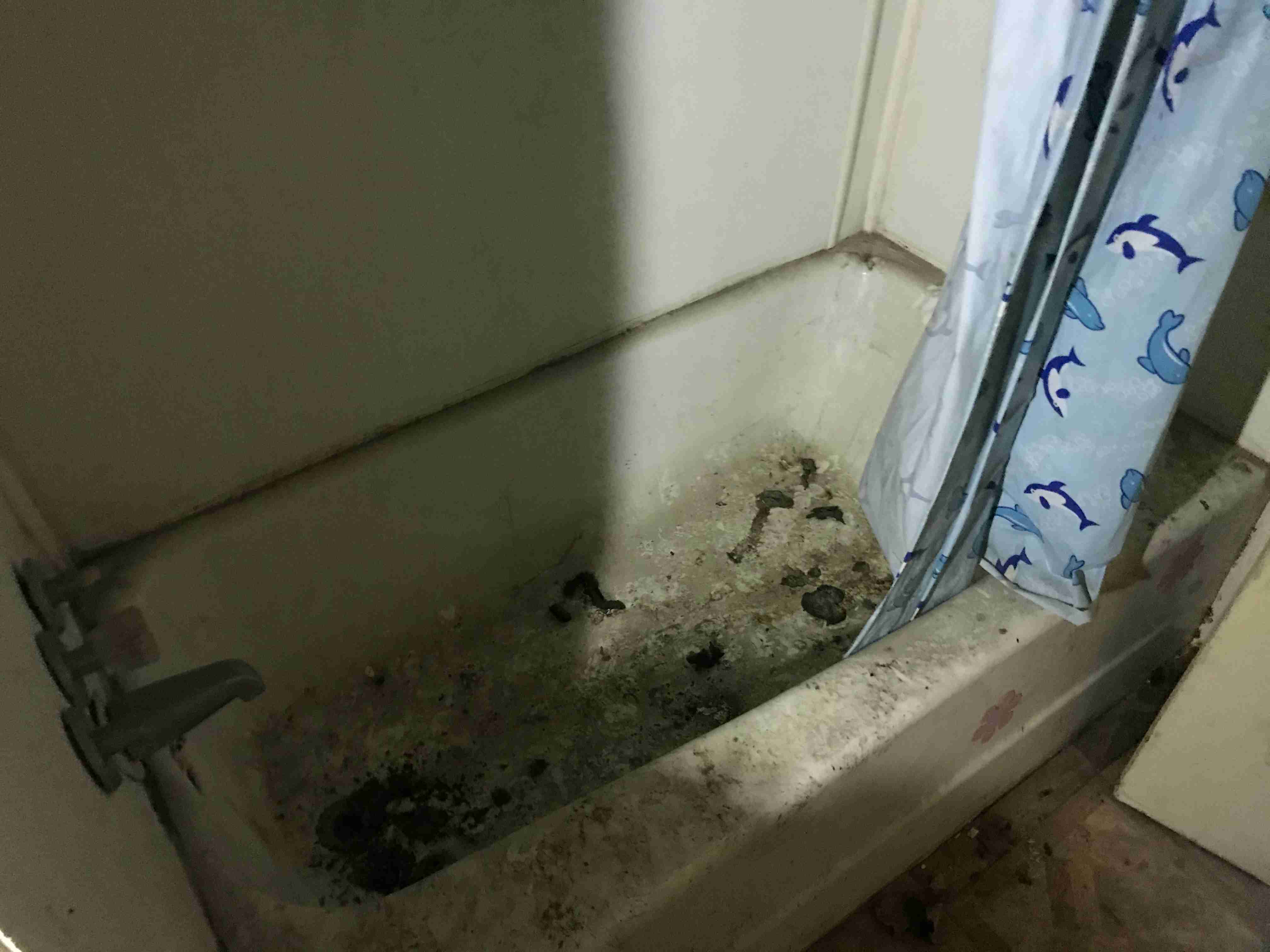 Photo Oct 13, 3 13 42 PM.jpg